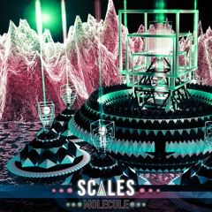 Scales - Molecule