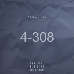 C A M  W I L L  94 ~ 4 - 308