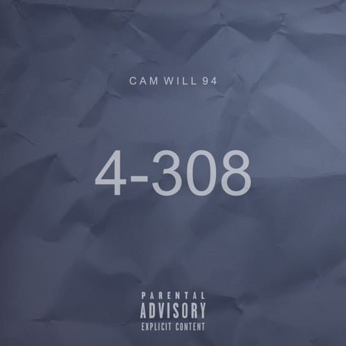 C A M  W I L L  94 ~ 4 - 308