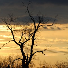 I love you, Goodbye (prod. Charlie shuffler)