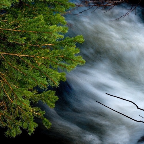 THE CIRCLE IN THE SQUARE no. 5, “On Movement, part I”