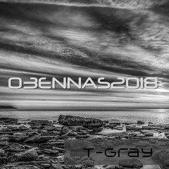 03ENNAS2018 T-Gray