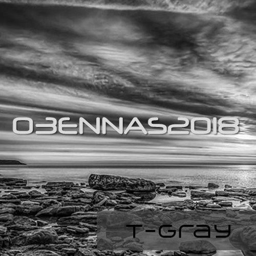 03ENNAS2018 T-Gray