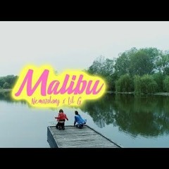 NEMAZALÁNY X LIL G - Malibu (Official Music)