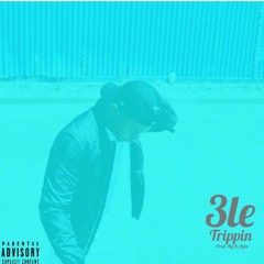 3LE