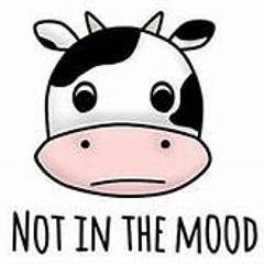 Not In The F*cking Mood