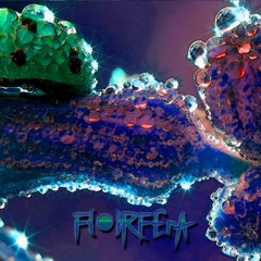 F{•}RF£rA - Holy Drops