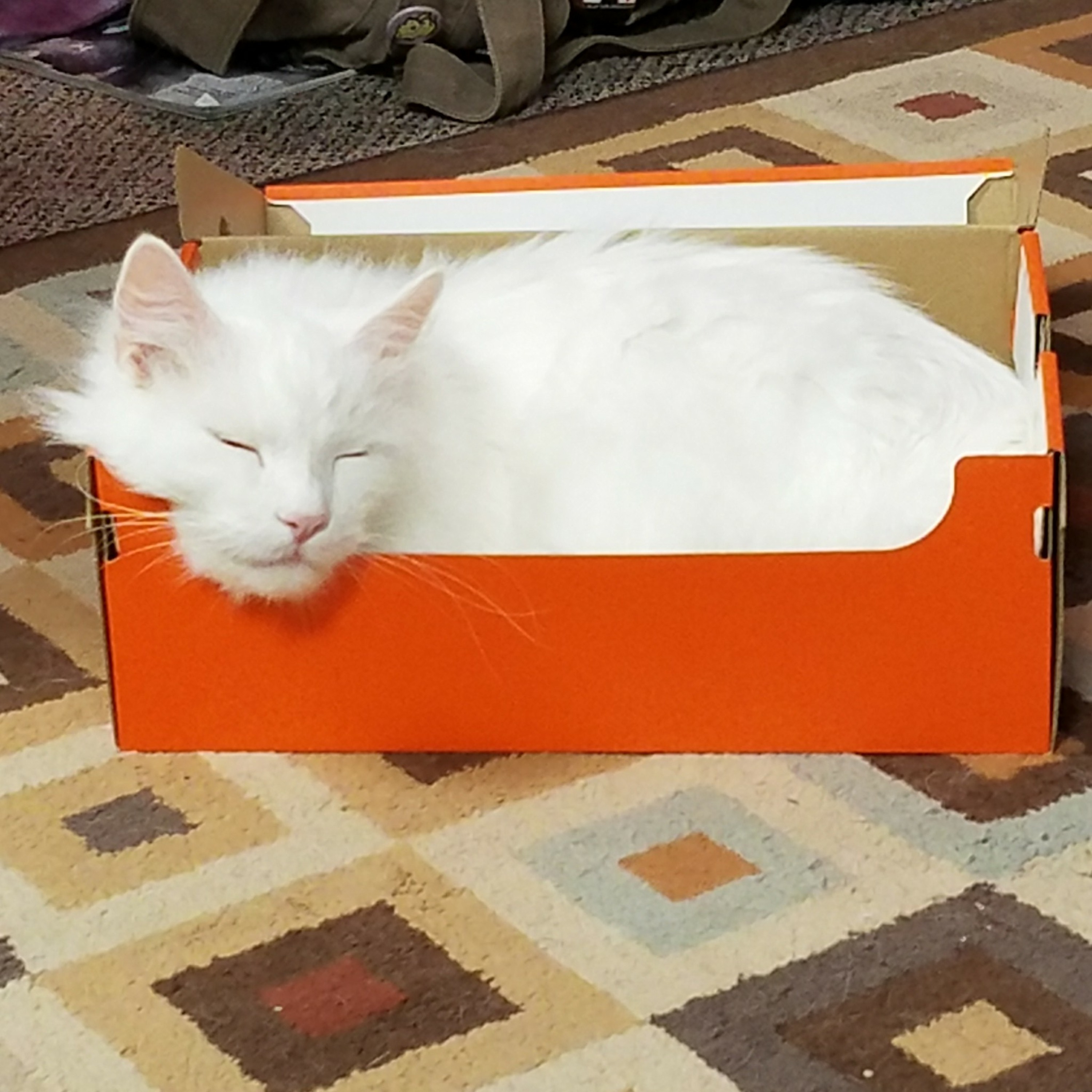 Sleepy Time Thoughts S1 Ep3