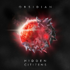 Hidden Citizens  - Rise Or Fall (feat Vo Williams)