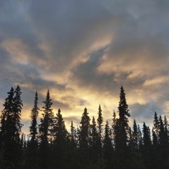 Yukon Sunrise