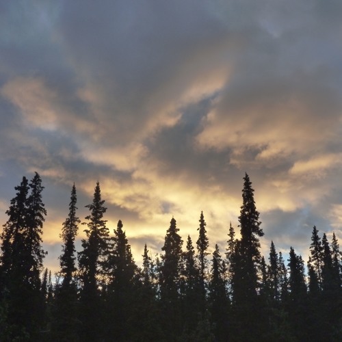 Yukon Sunrise