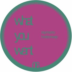 WOW006 - Ray Mono - Horizons EP (What You Want)