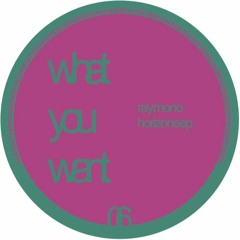 WOW006 - Ray Mono - Horizons EP (What You Want)