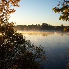 Lakeview Terrace - Once Again