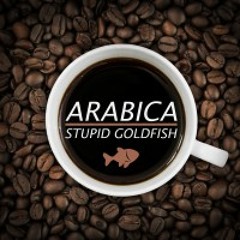 Stupid Goldfish - Arabica