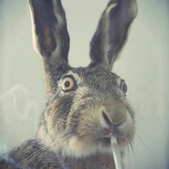 NST- Đẩy Xe Kẹo Kéo B52 - Anh Kòi Mix