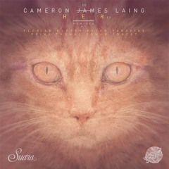 Cameron James Laing - Her (Peter Pardeike Remix)