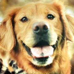 Katja solgte sin webshop på 1 måned via Saxis.dk