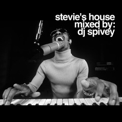 Stevie's House