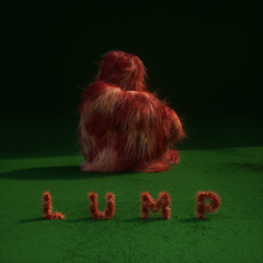 LUMP - Late To The Flight