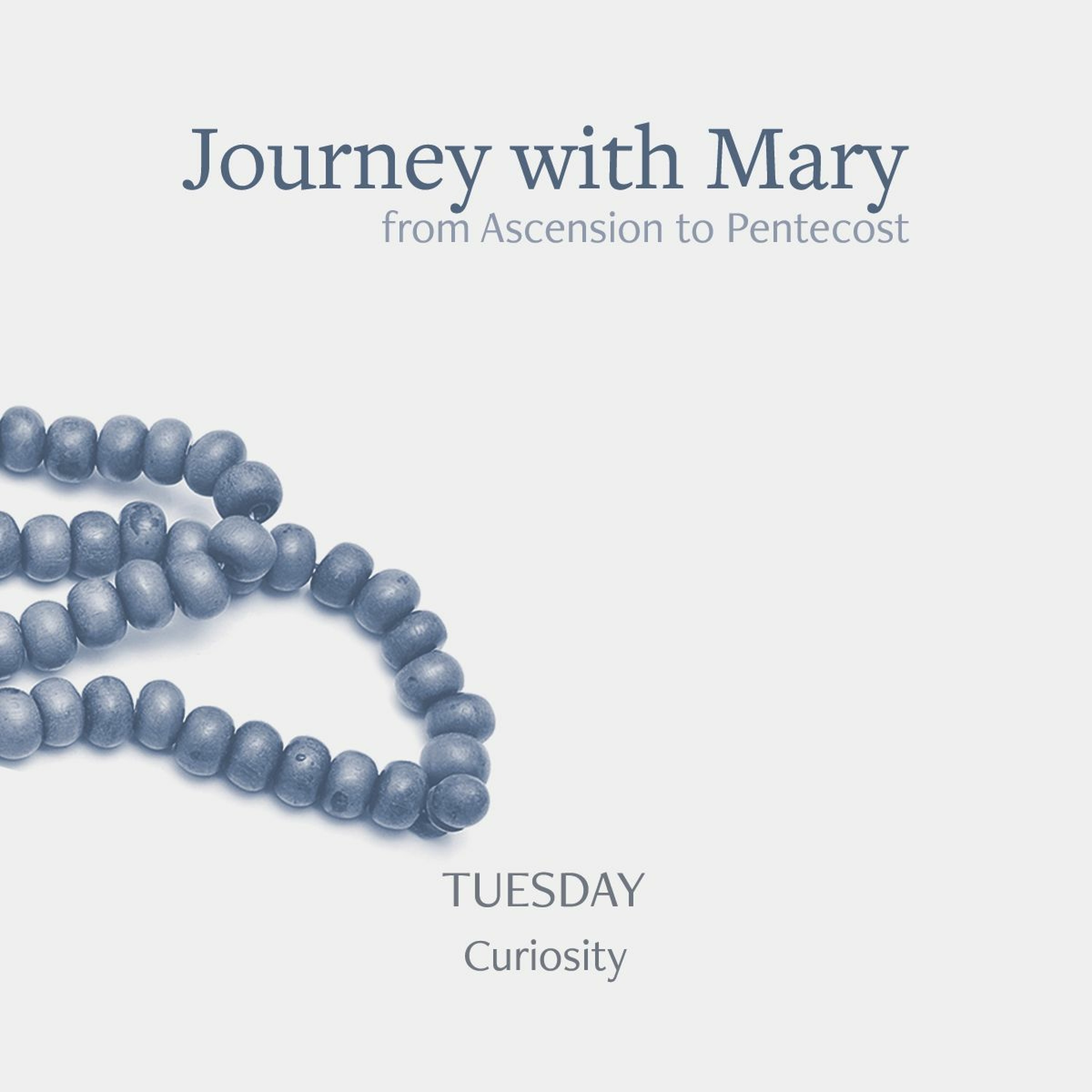 Tuesday - Curiosity episode artwork