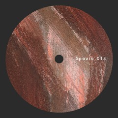 Spazio014 - Marco Shuttle - Tropicalia