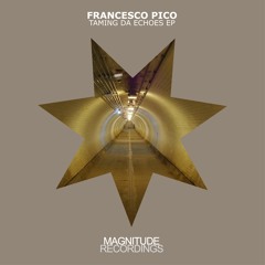 PREMIERE: Francesco Pico - Bugs Jump Out Of The Water (Pole Folder Remix) [Magnitude Recordings]