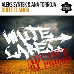 Aleks Syntek Y Ana Torroja - Duele El Amor (Jose Spinnin Cortes White Label Remix)