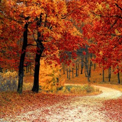 Plainfield PSA 2018 "Fall"