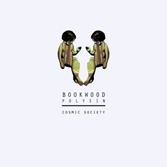 PREMIERE : Bookwood - Polysin (Brigade Remix) [Cosmic Society]