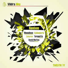 THES009 // Viidra - Hey (Torquatto Remix)