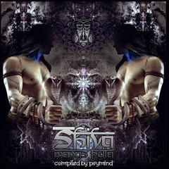 Shiva Destroyer 222BPM V/A SHIVA MANAS PUJA compiled by Psymind (Voodoo Hoodoo recs)