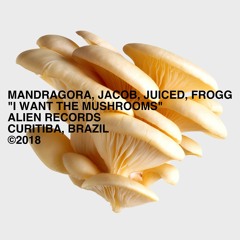 mandragora, jacob, juiced, frogg, - I Want The Mushrooms