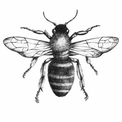 Bee Miner