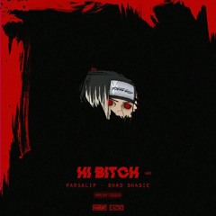 Hi Bitch Mix