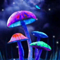 Lethyx Nekuia - Magic Mushroom