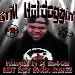 Still Hotdoggin (Boona Badazz Tribute Mix)