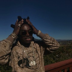 KODAK FT WOOLY AND LOTUS (PROD MR.WATER)
