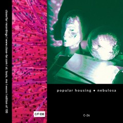 Popular Housing - Untitled Translation/a hard cover body (excerpt)