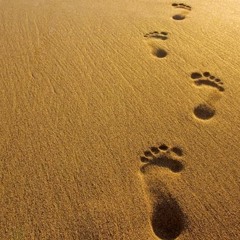 Feel the Sun (feat. Sehya)