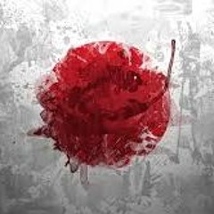 RAHA Ricci - Japanese Feat. Yung Check Prod. RAHA Simzy