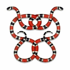 Snakes (PROD. Classixs)