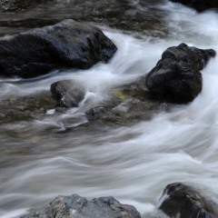 THE CIRCLE IN THE SQUARE no. 6, “On Movement, part II”