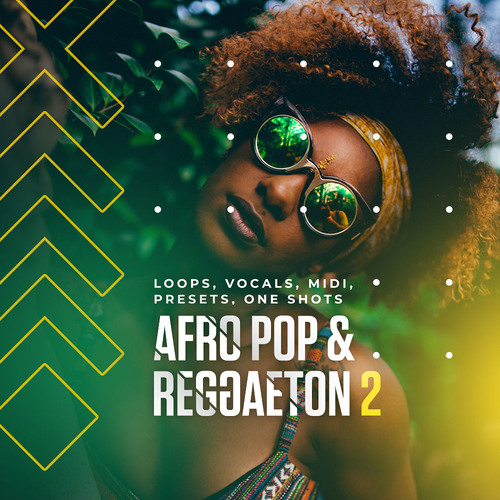 Diginoiz Afro Pop Reggaeton 2 By Synthpresets