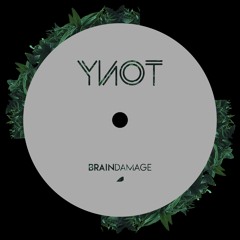 YnoT- Brain Damage