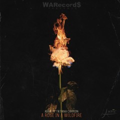 A rose in a wildfire ft Tatiana Carrion