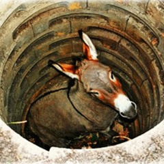 Democrats Prepare to Pimp the Left Again in 2018 and 2020