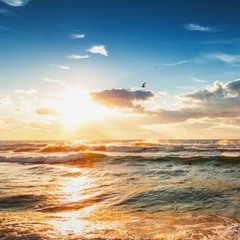 الشيخ خالدالجليل وقال فرعون ذروني اقتل موسى