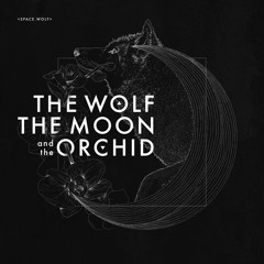 The Wolf, the Moon, and the Orchid