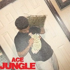 Jungle Remix